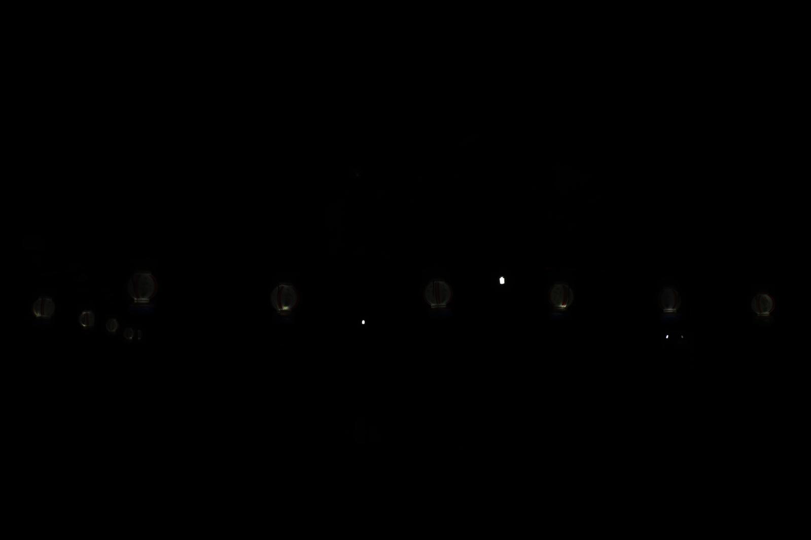 杭州江月园国际灯会