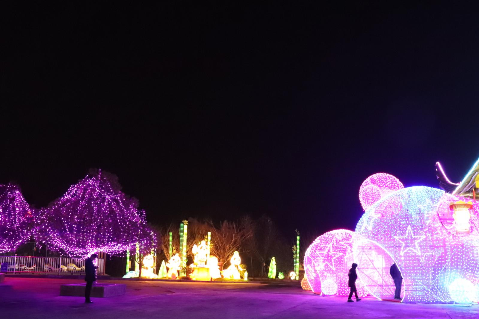 杭州江月园国际灯会