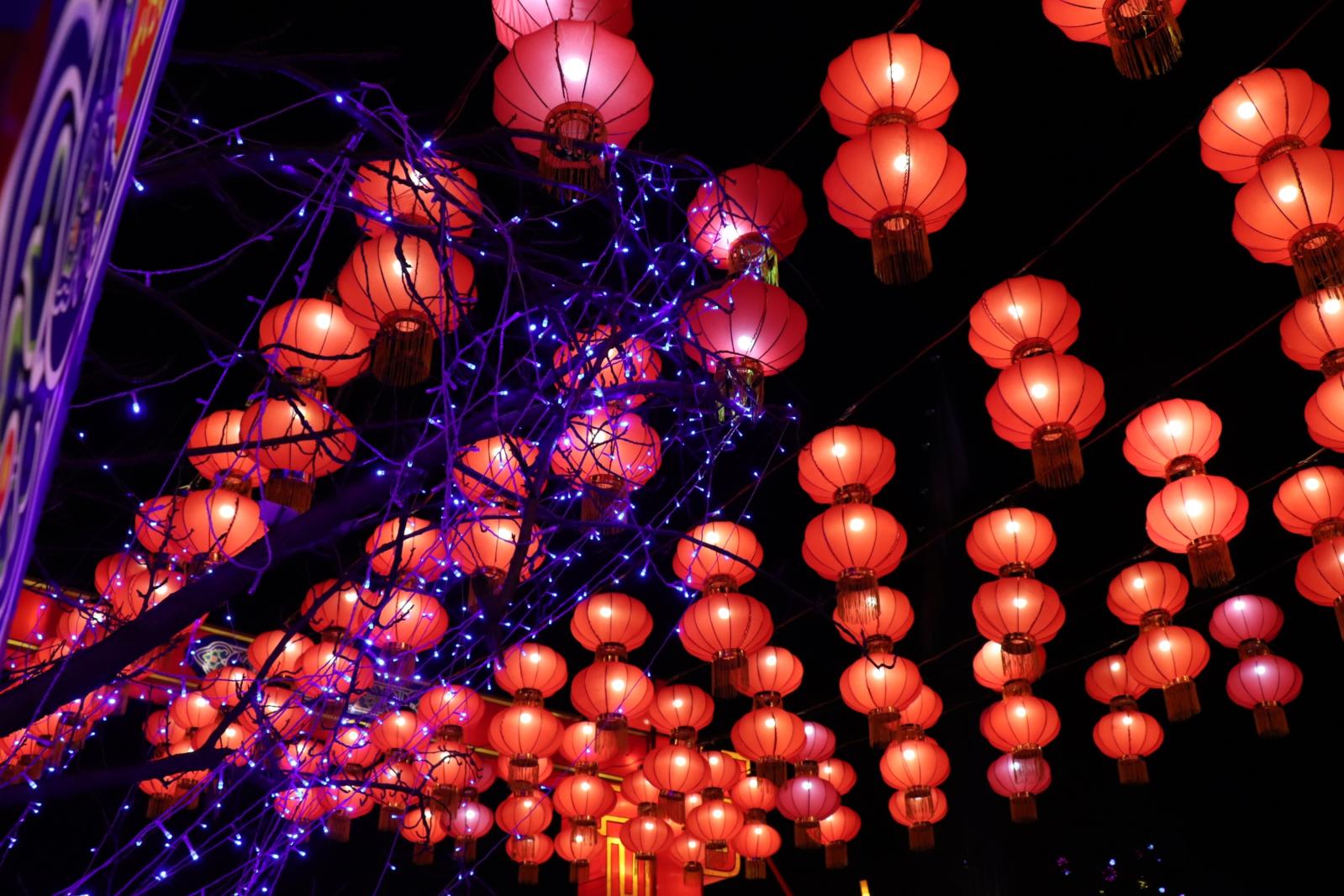 杭州江月园国际灯会