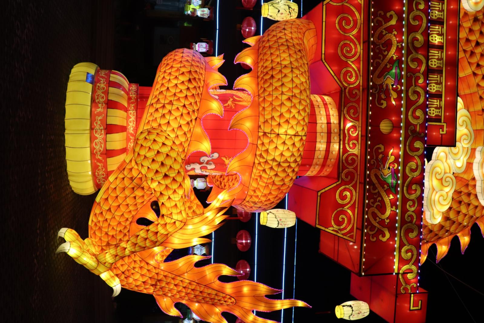 杭州江月园国际灯会