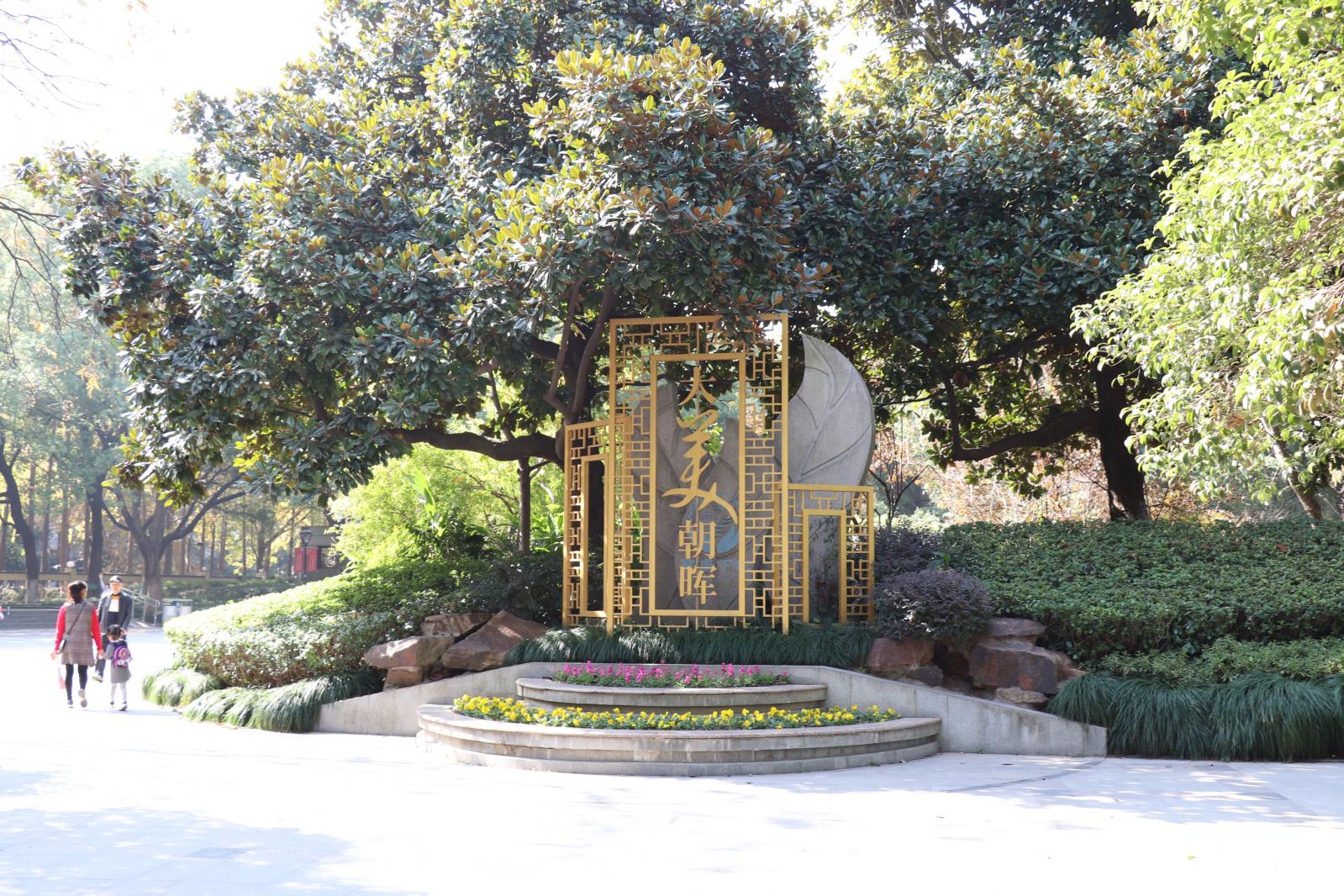 杭州朝晖公园银杏