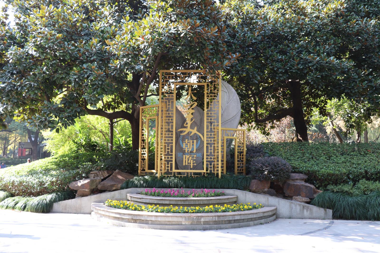 杭州朝晖公园银杏