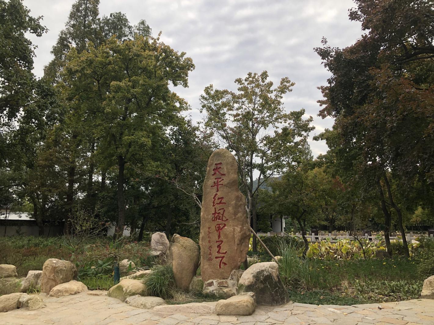 枫叶