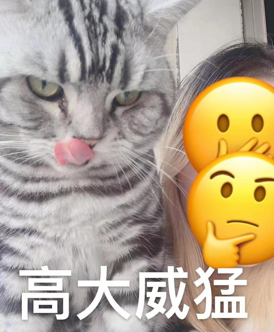 表情包