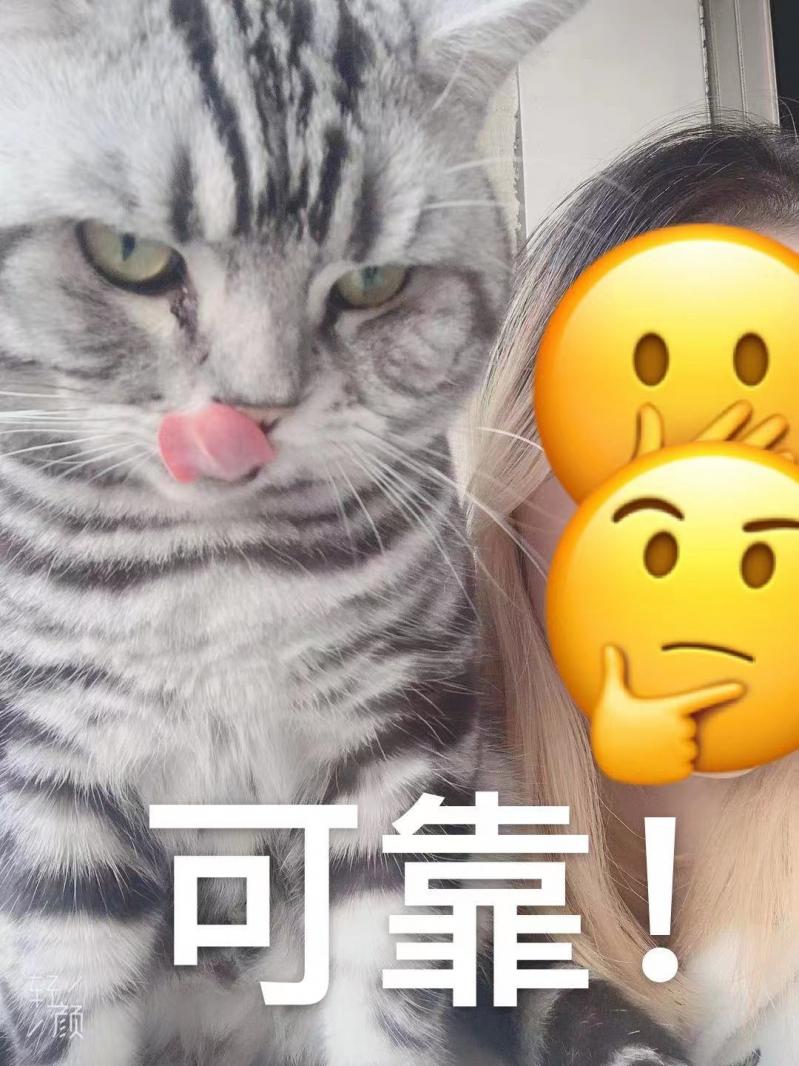 可靠