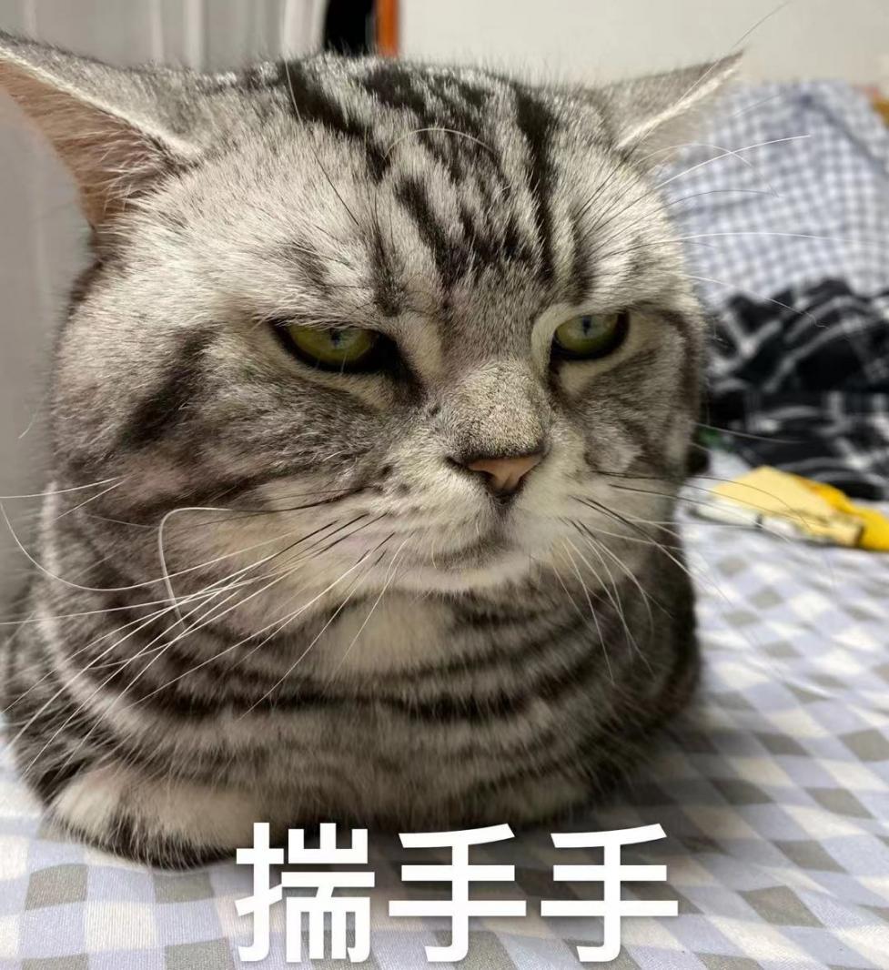 踹手