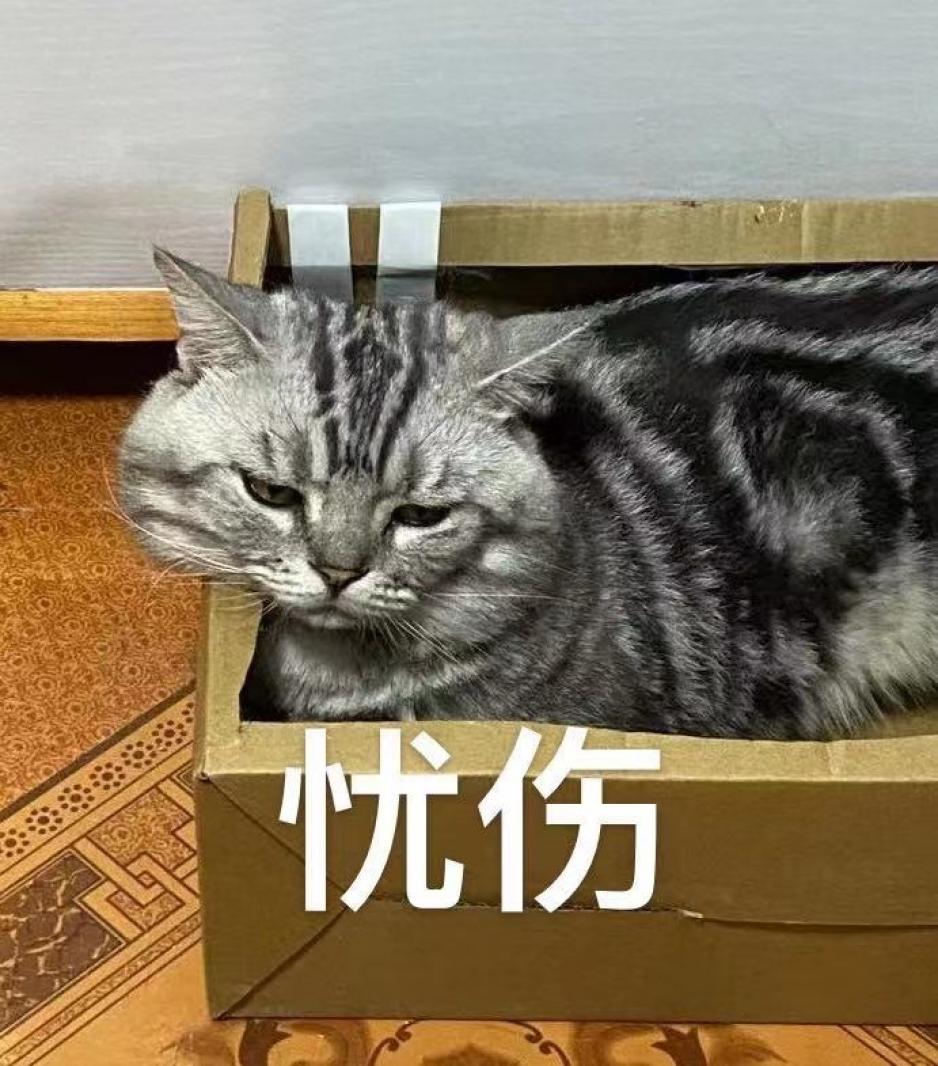 忧伤，表情包