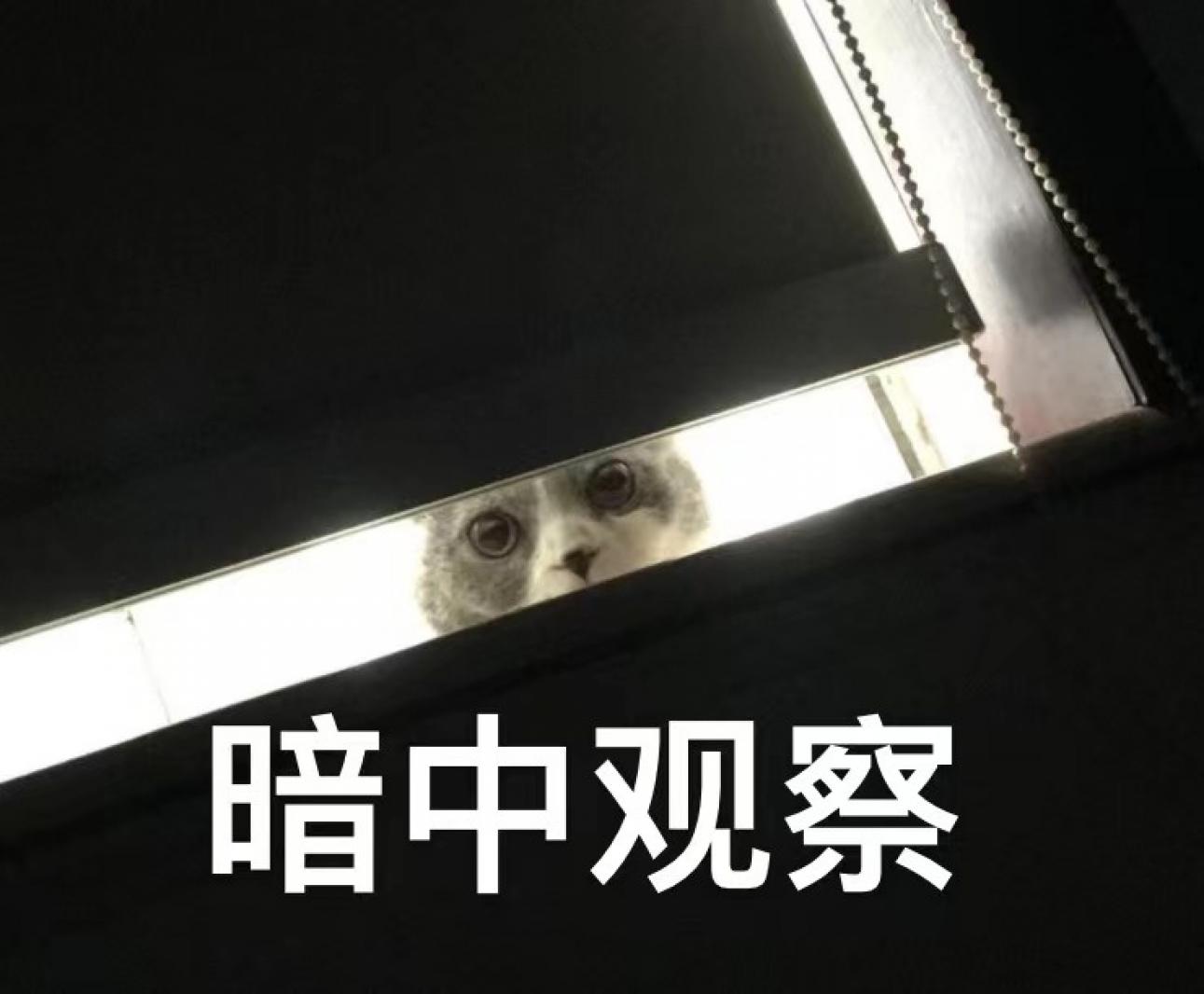观察