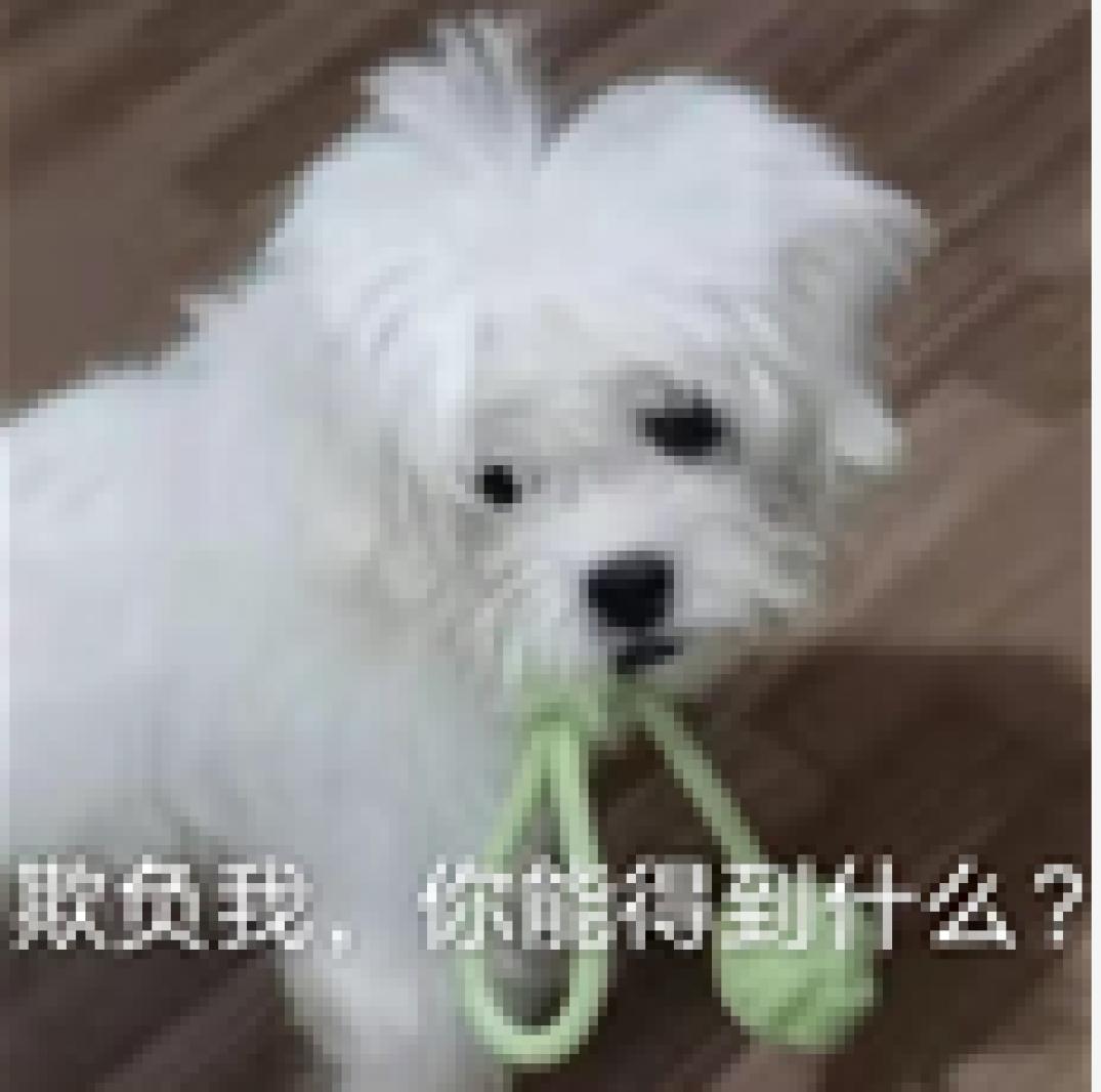 欺负