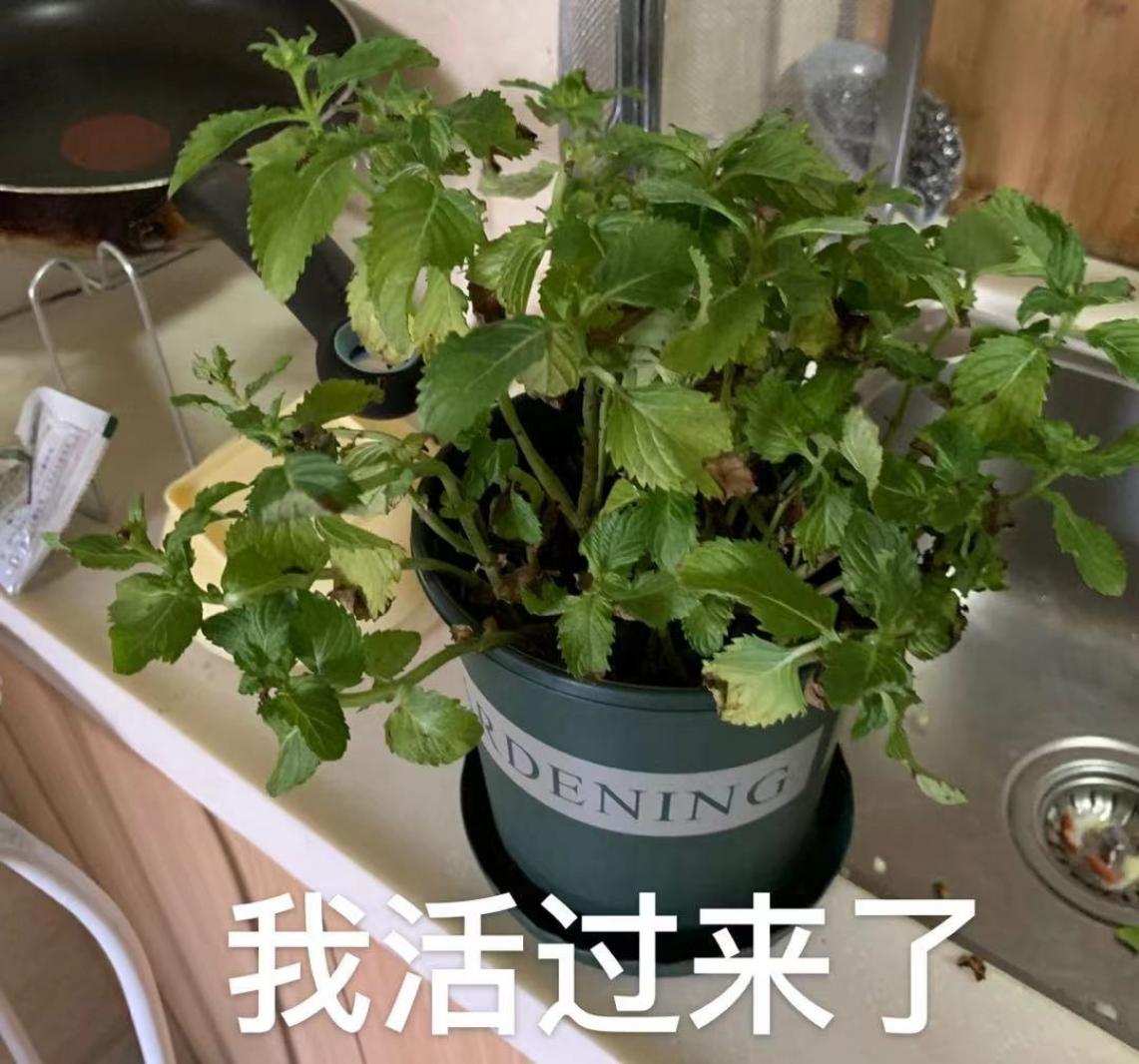 活