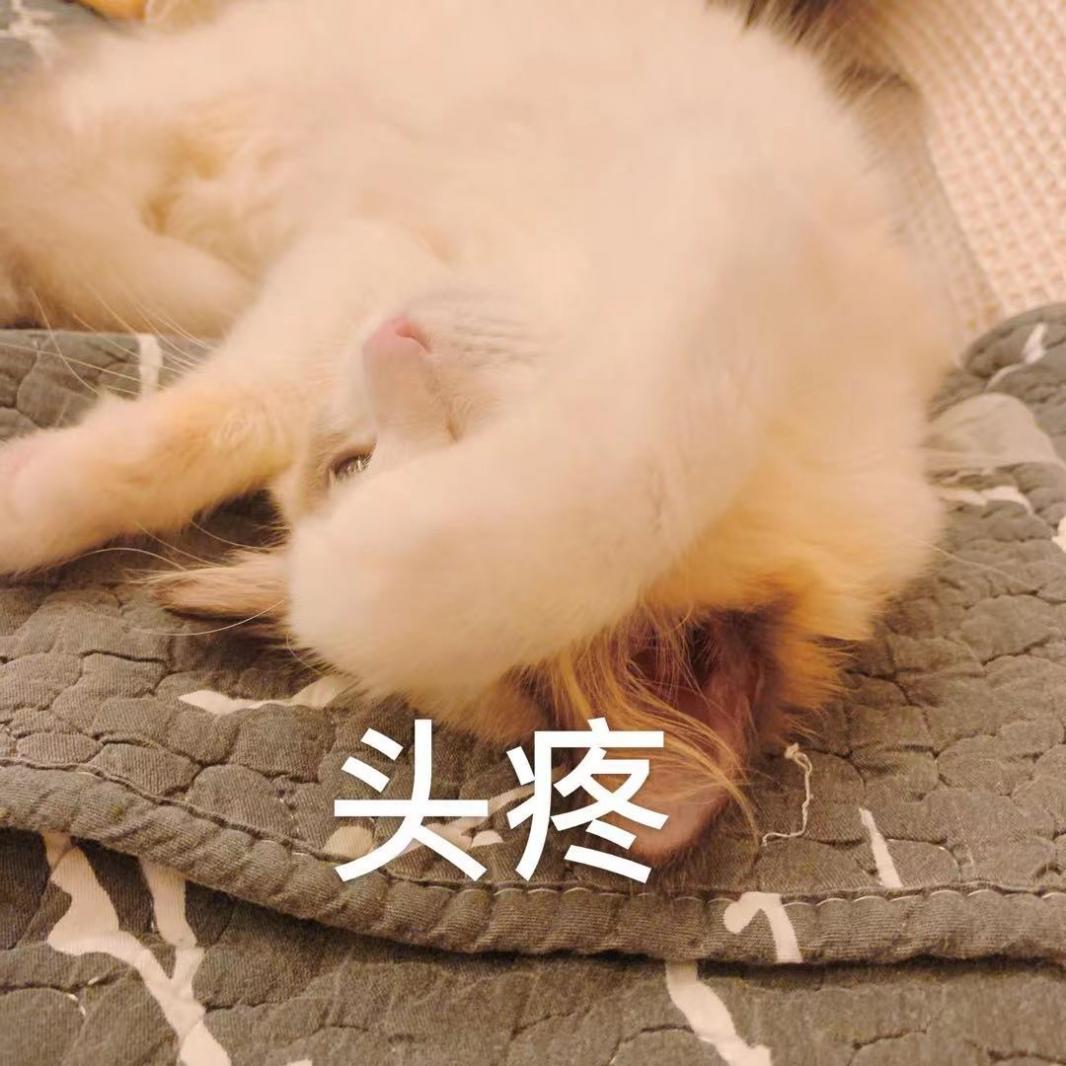 头疼