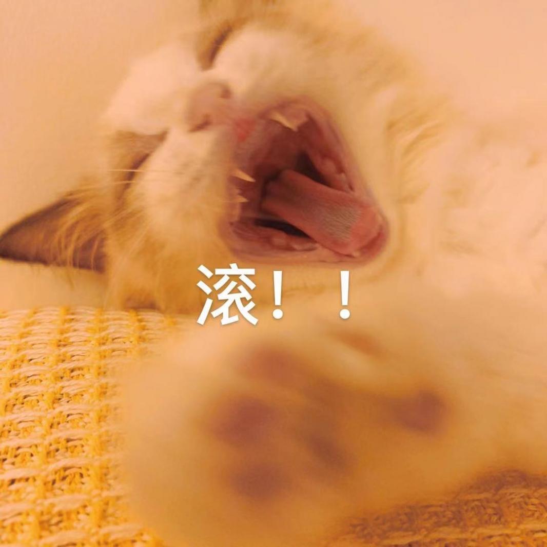 滚