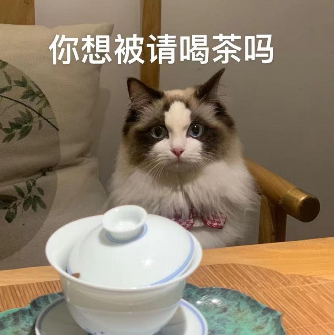 喝茶