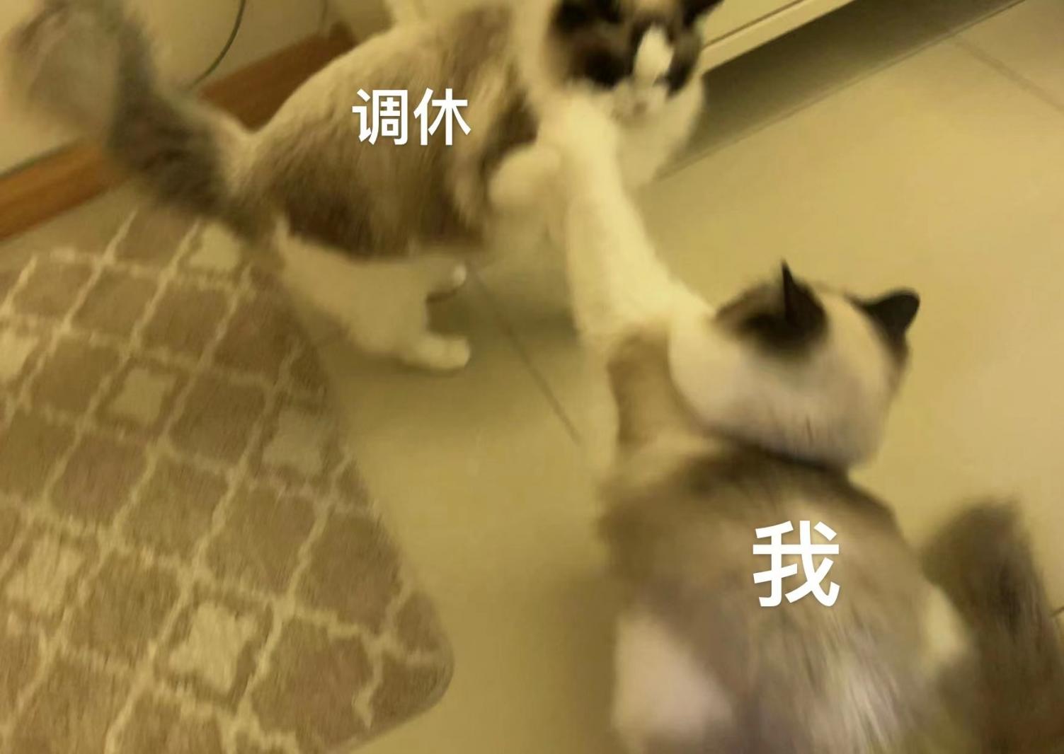 调休