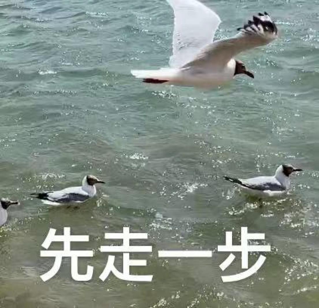 走