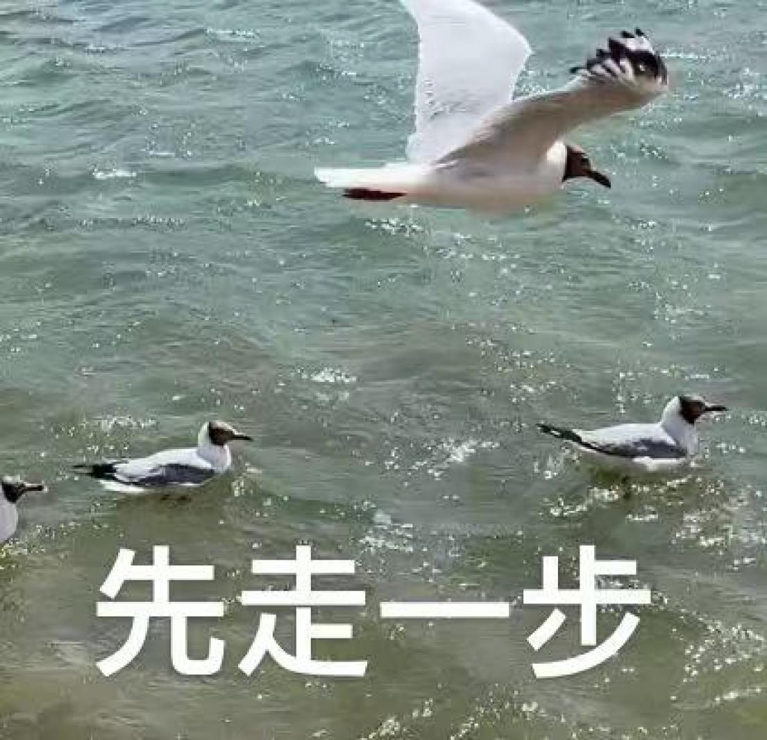 走