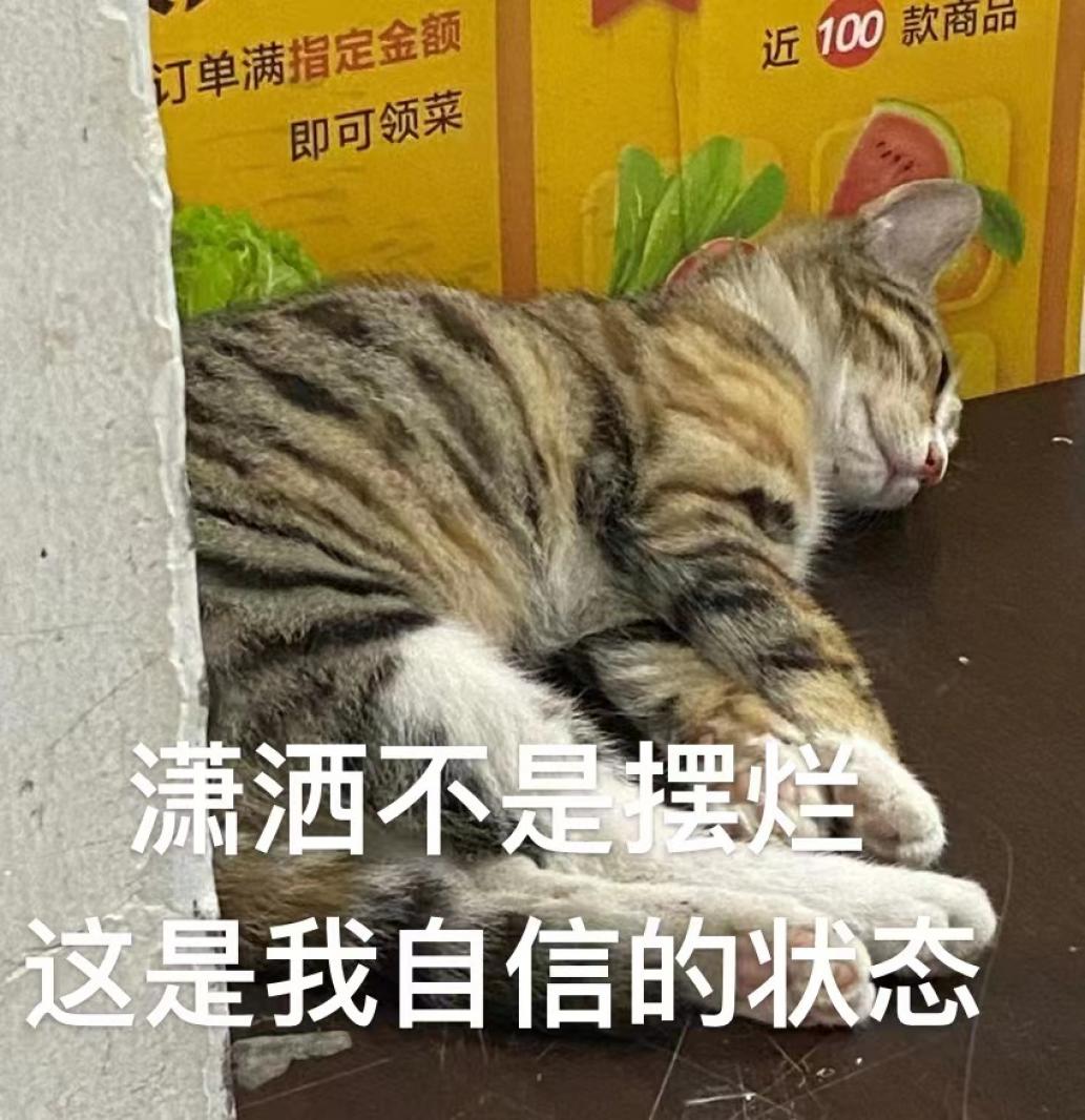 潇洒