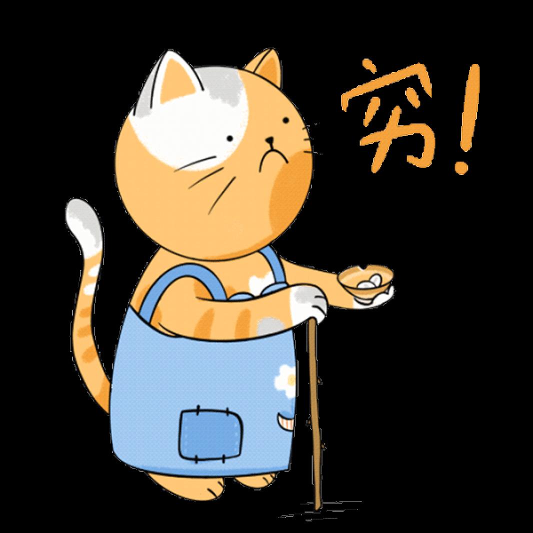 大橘的日常