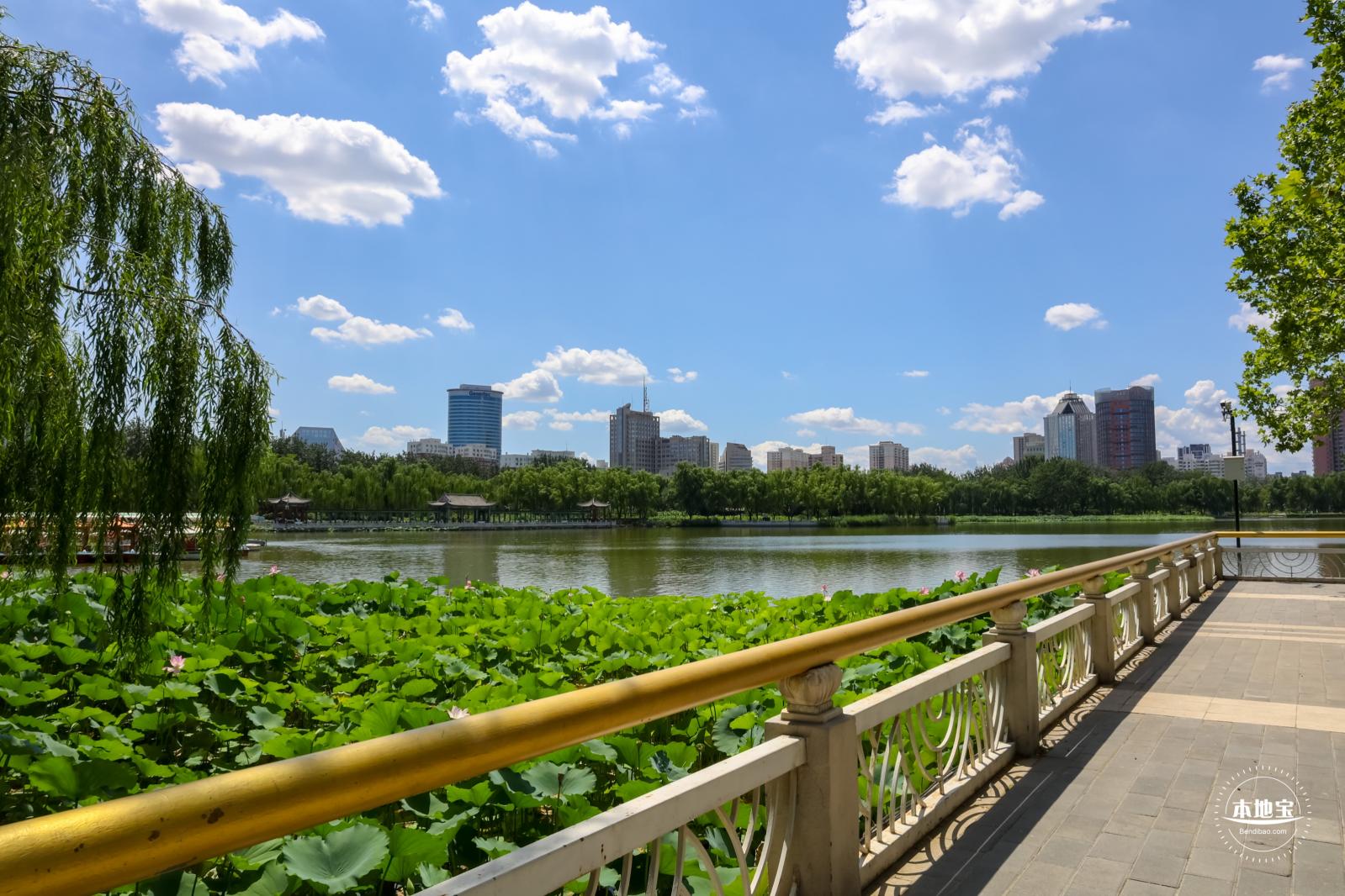 莲花池公园