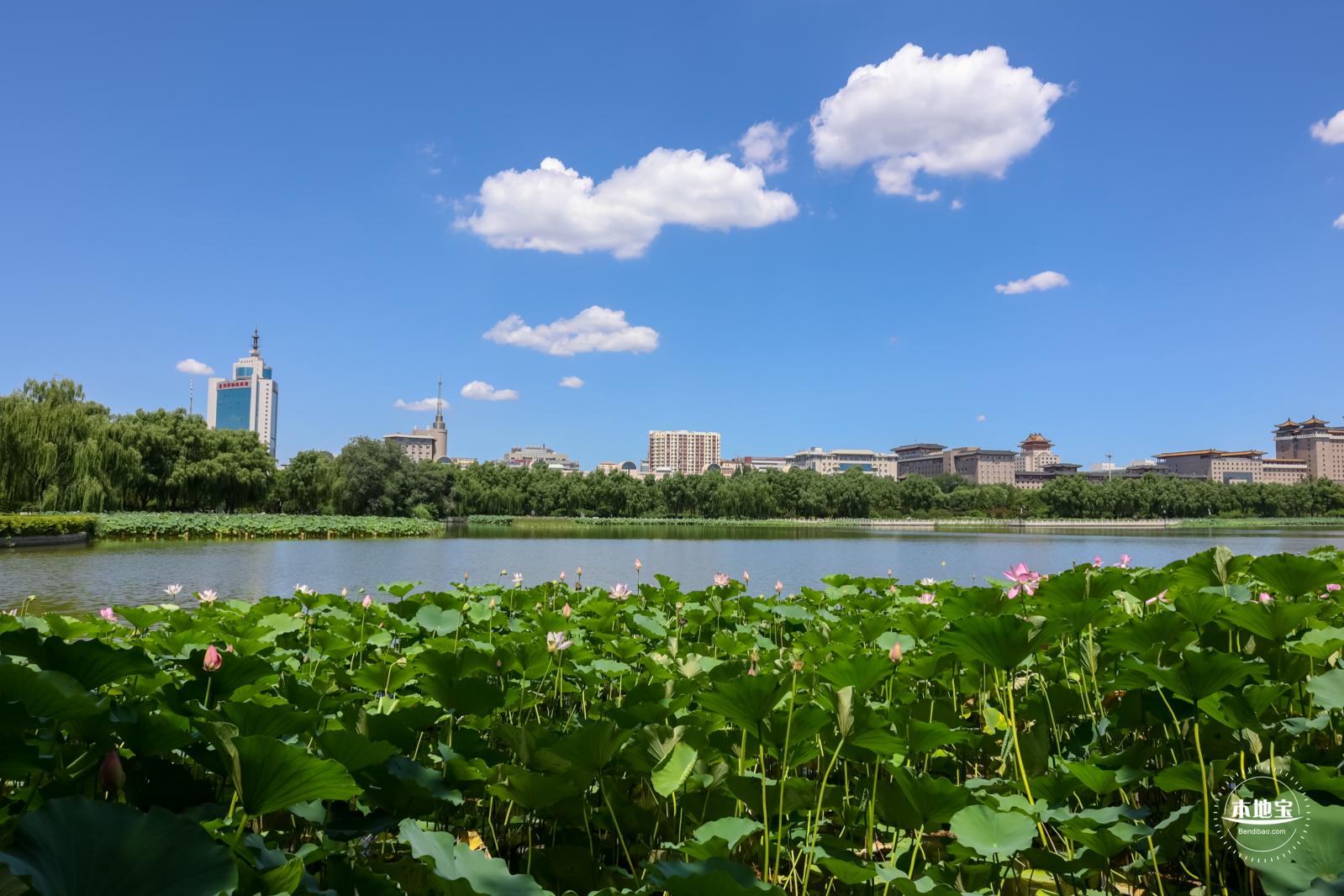 莲花池公园