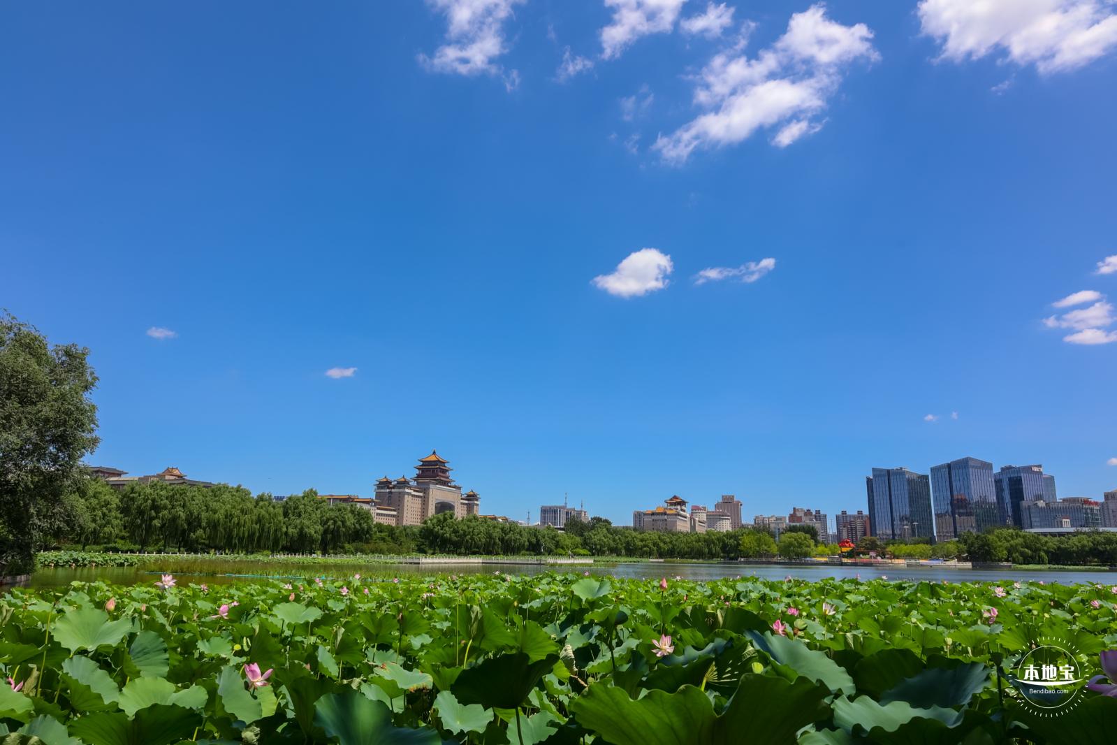 莲花池公园