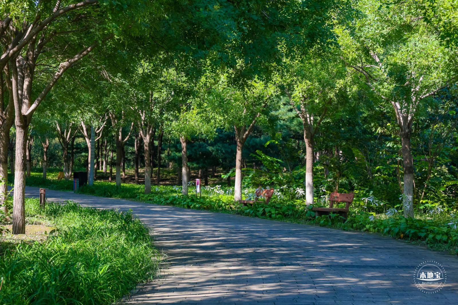 东小口森林公园
