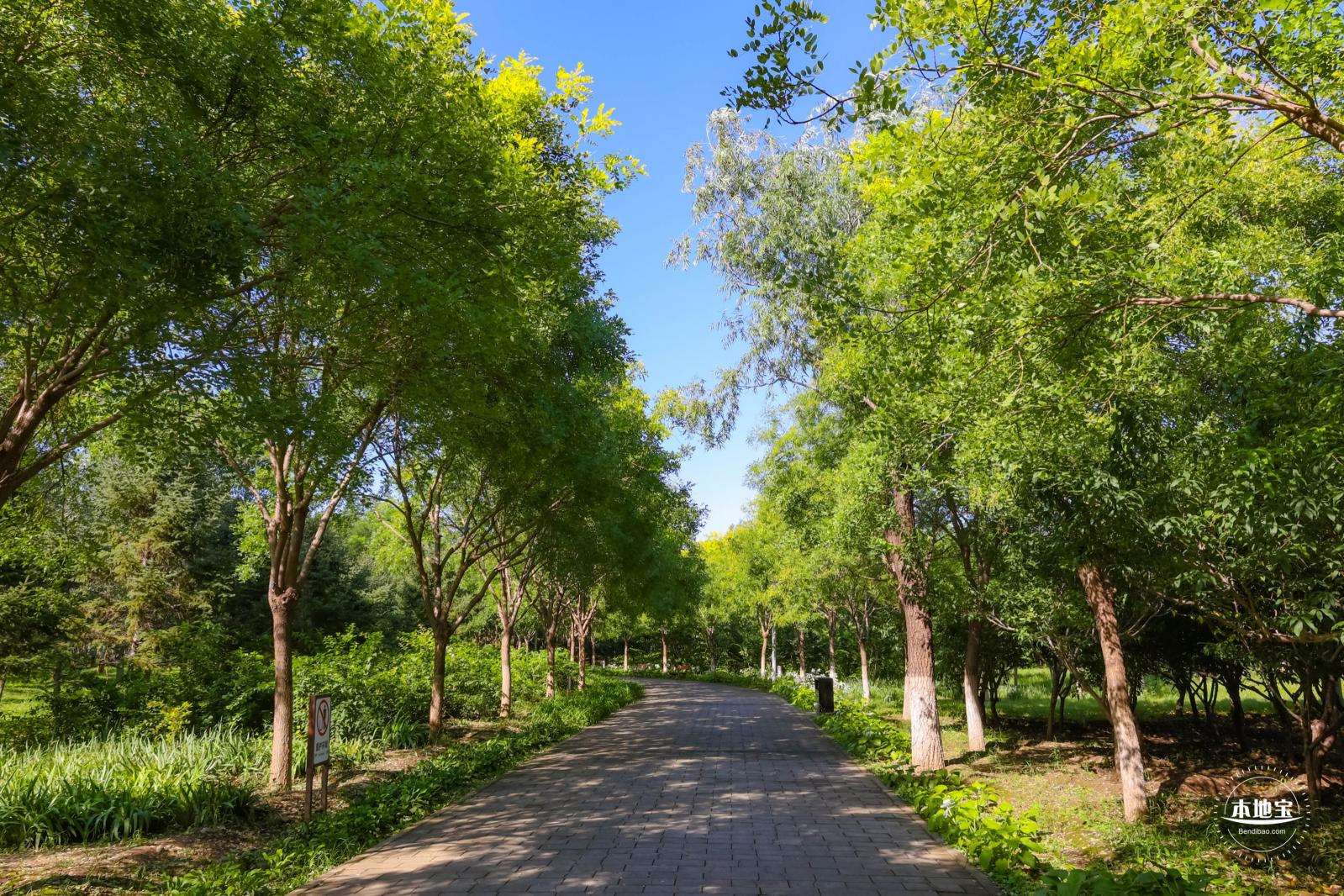 东小口森林公园