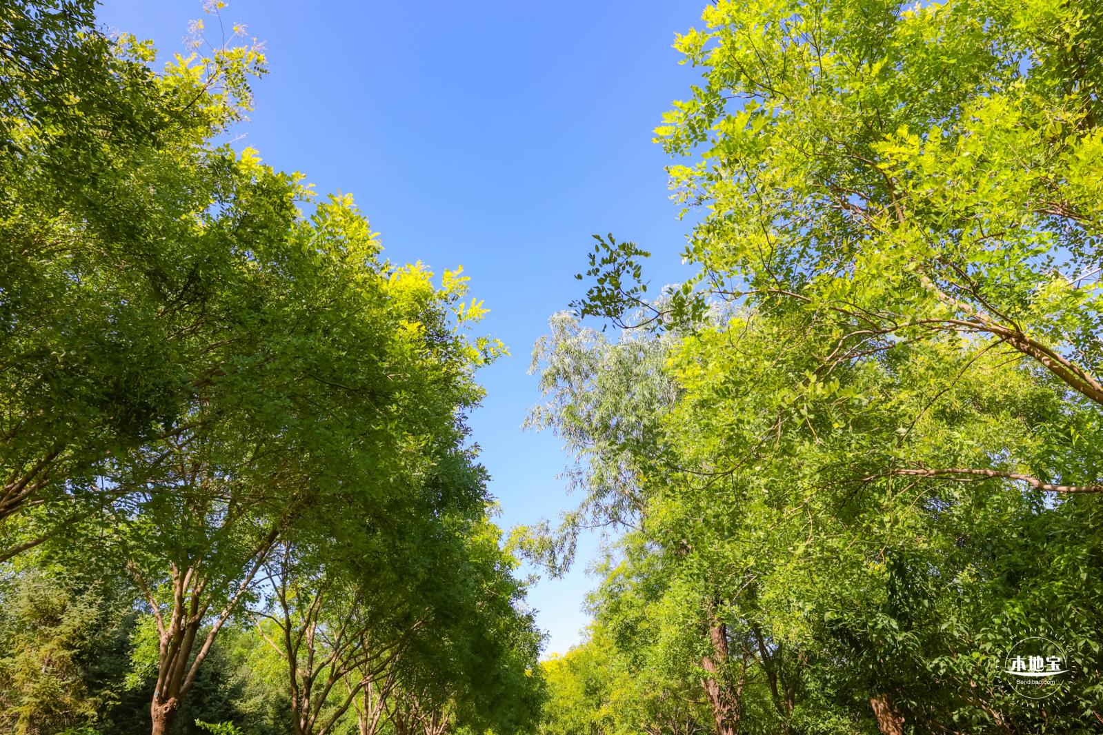 东小口森林公园
