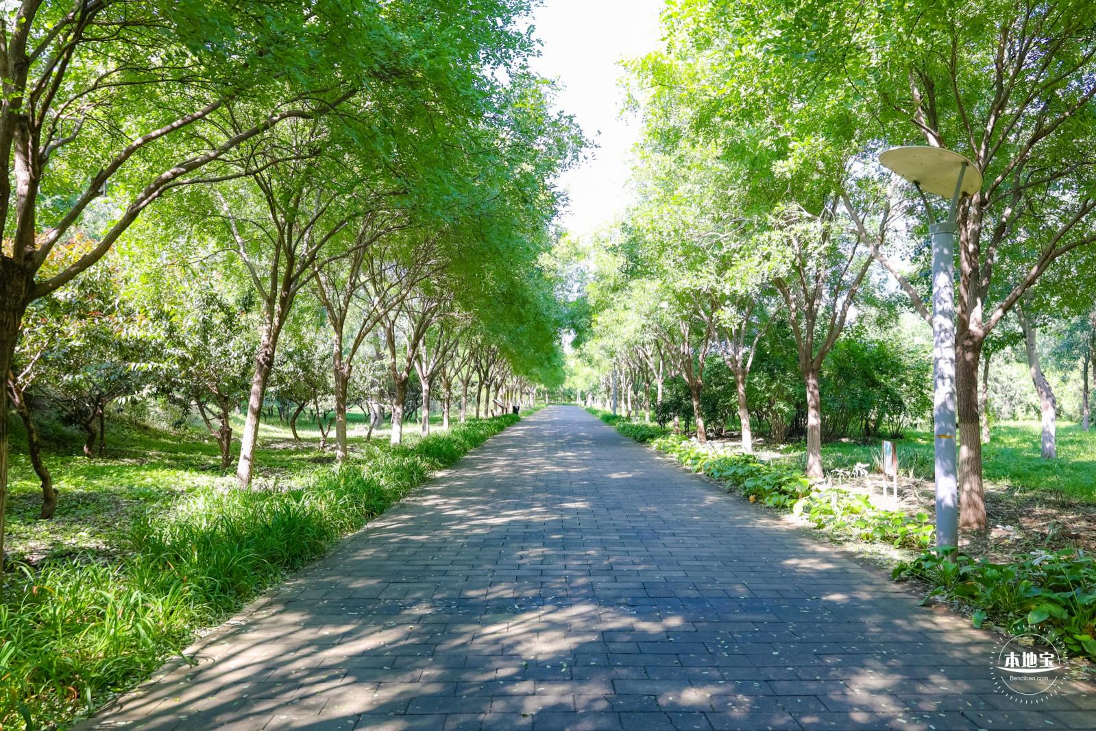 东小口森林公园