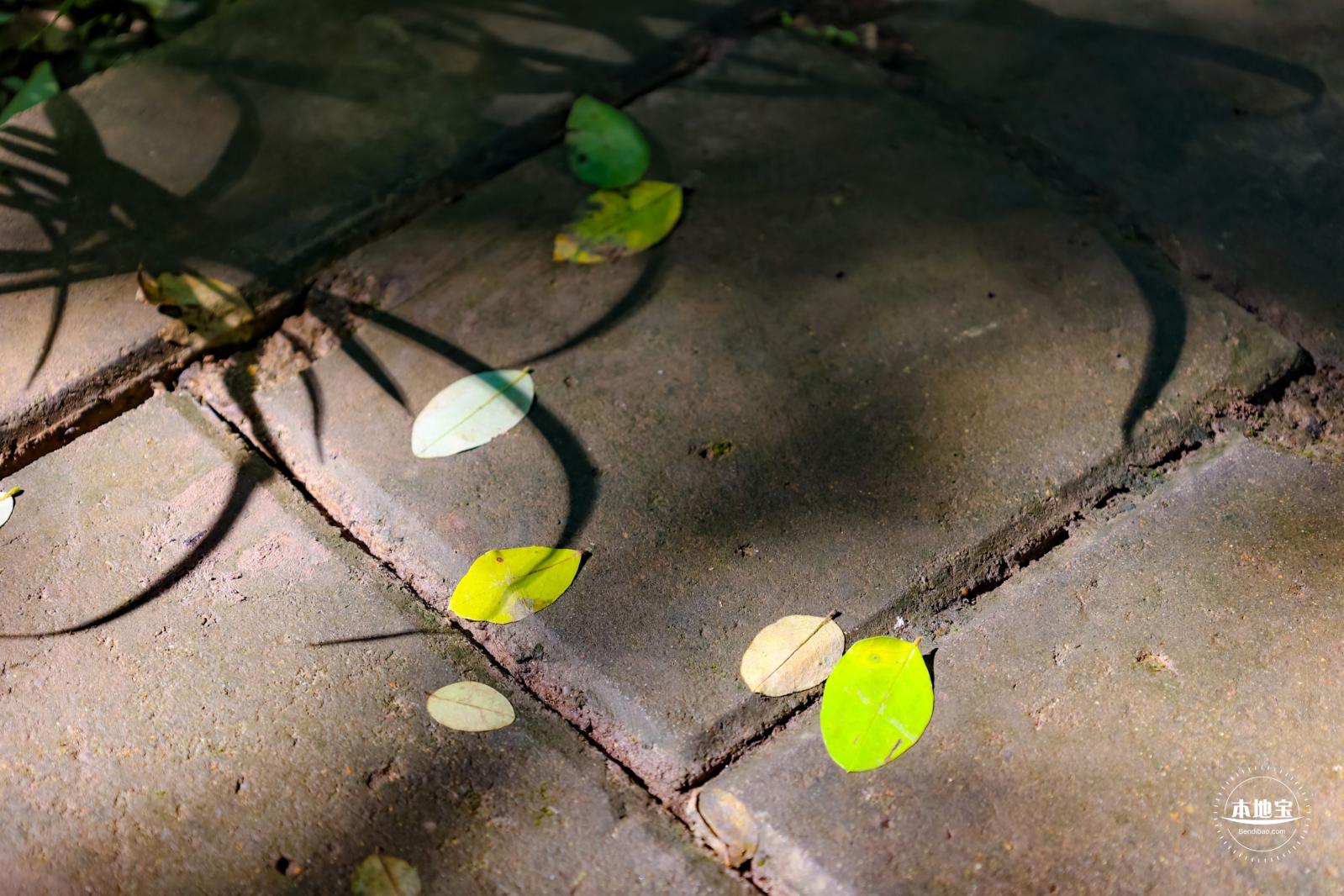 东小口森林公园
