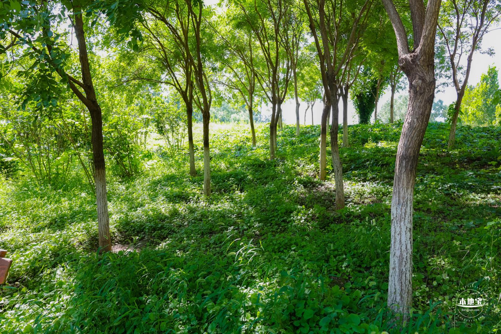 东小口森林公园
