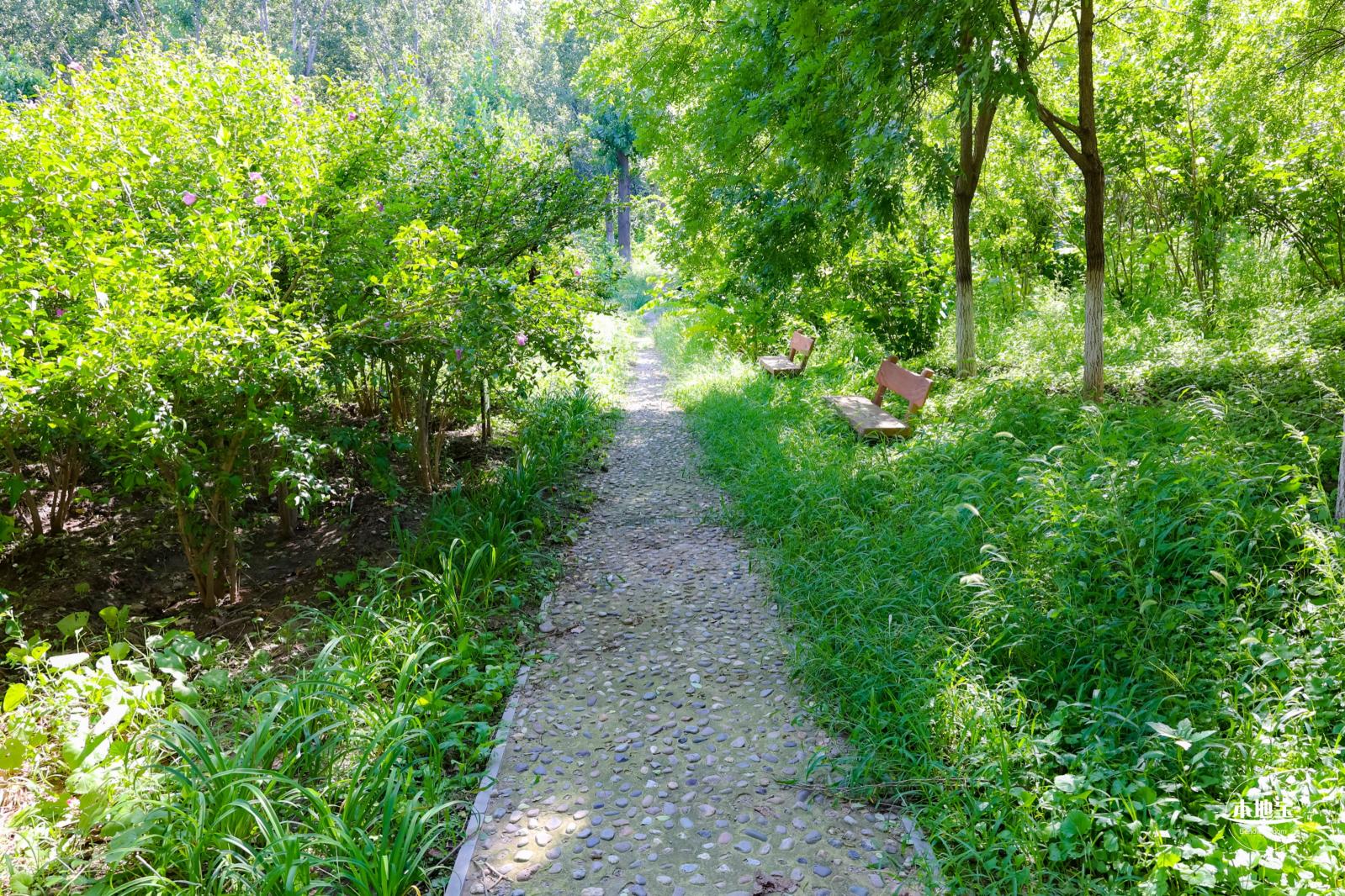 东小口森林公园