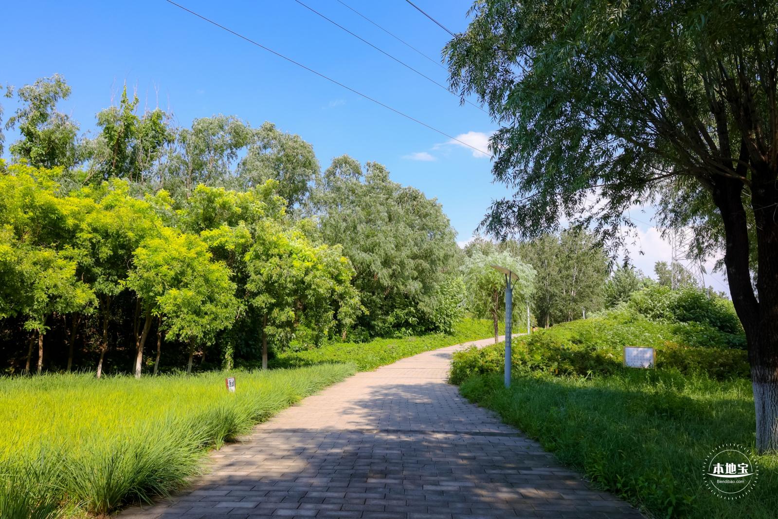 东小口森林公园