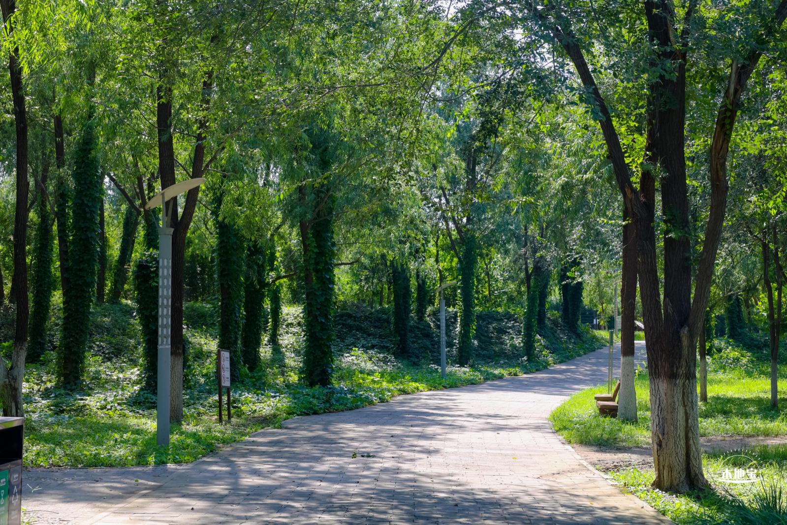 东小口森林公园