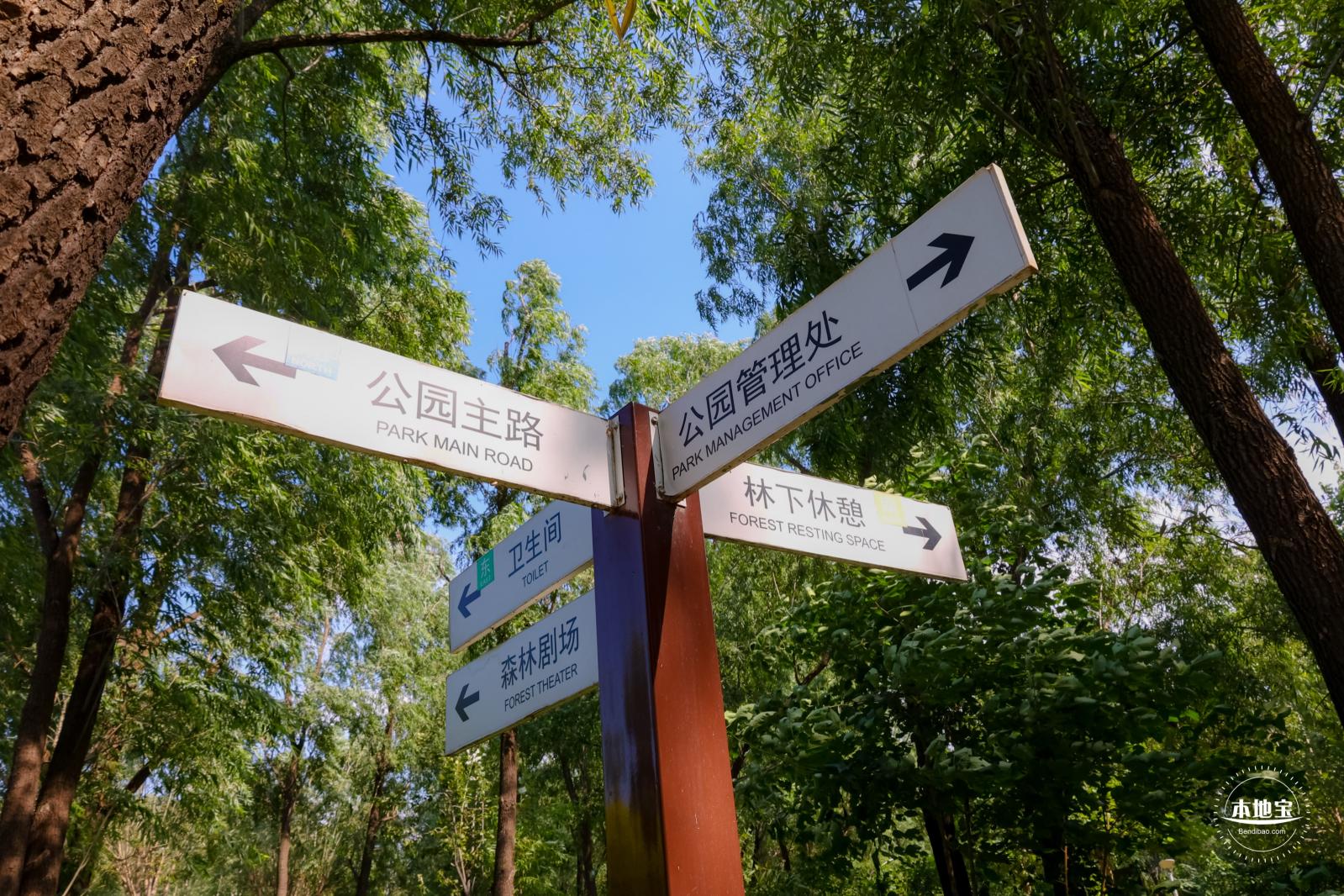 东小口森林公园