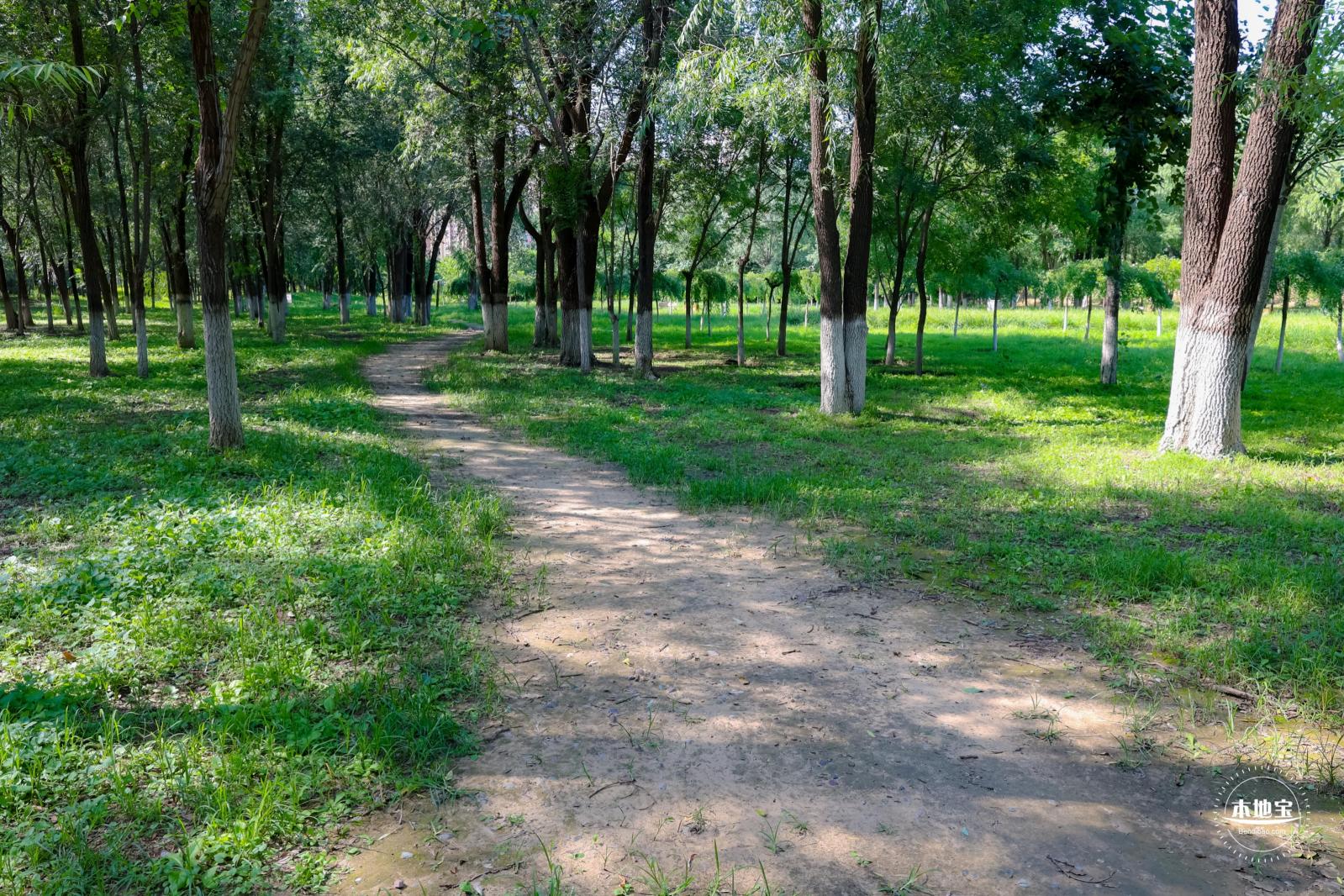 东小口森林公园
