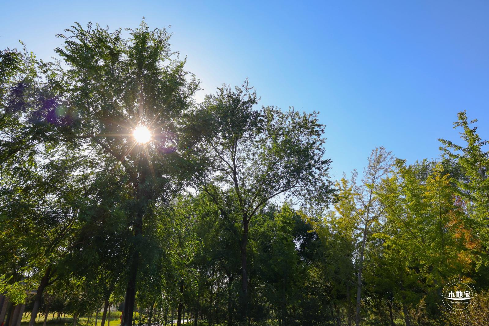 东小口休闲公园