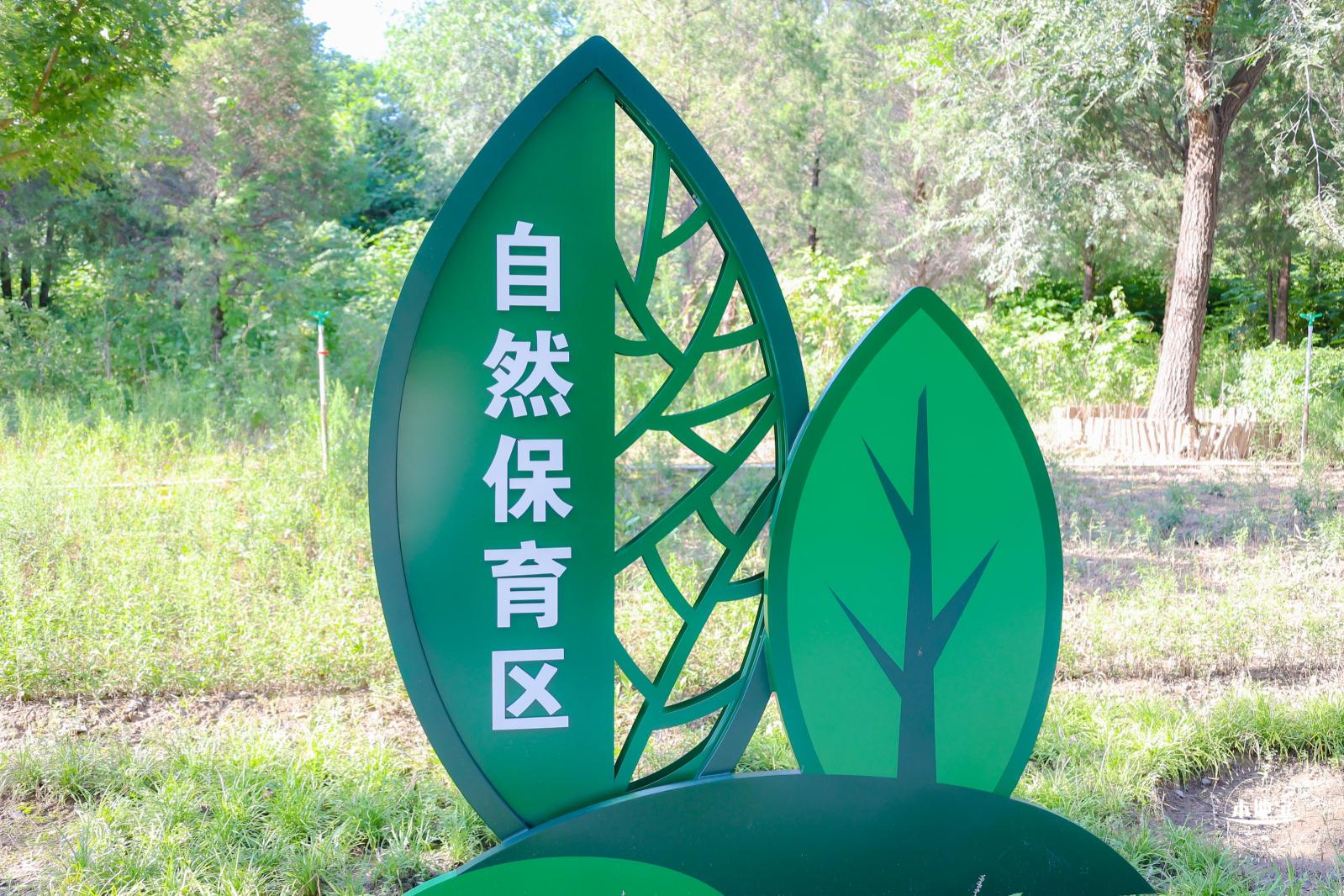 东小口休闲公园