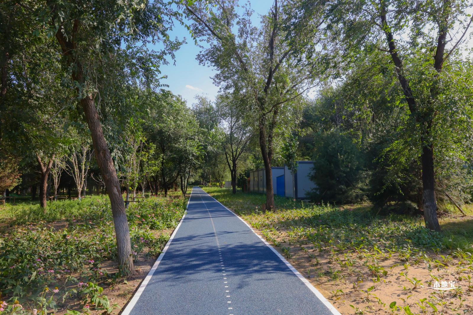 东小口休闲公园