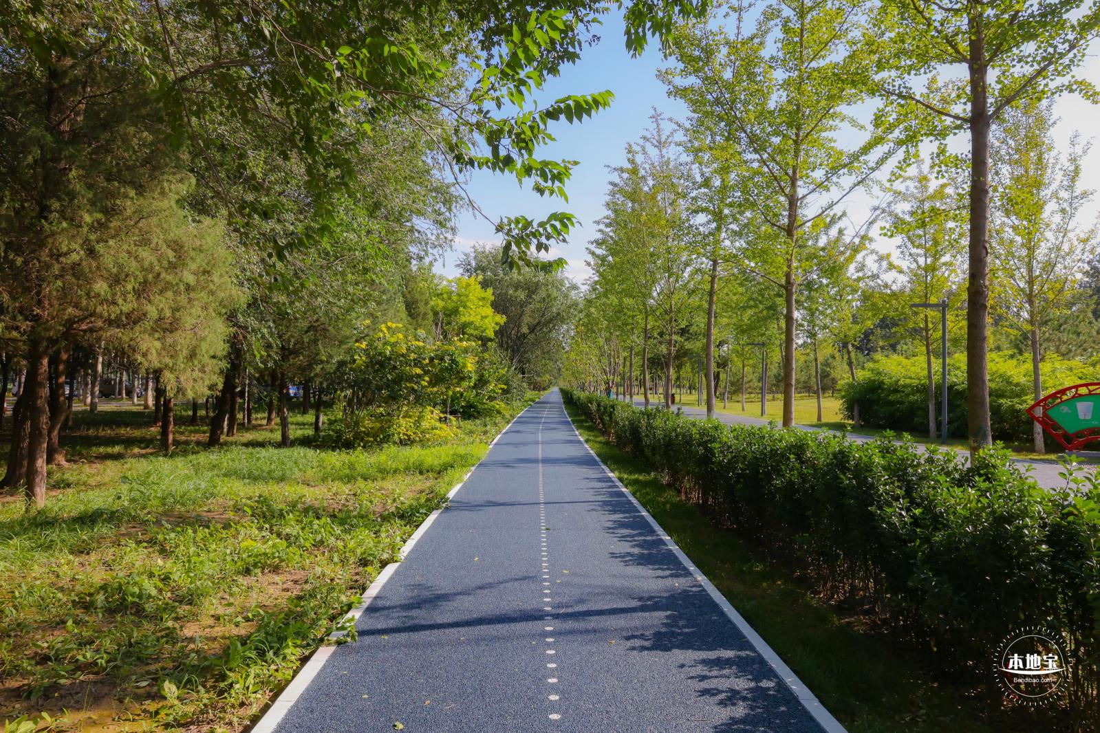 东小口休闲公园