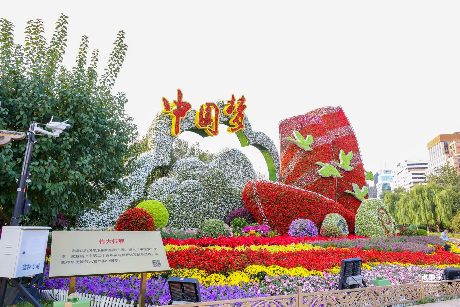 国庆花坛