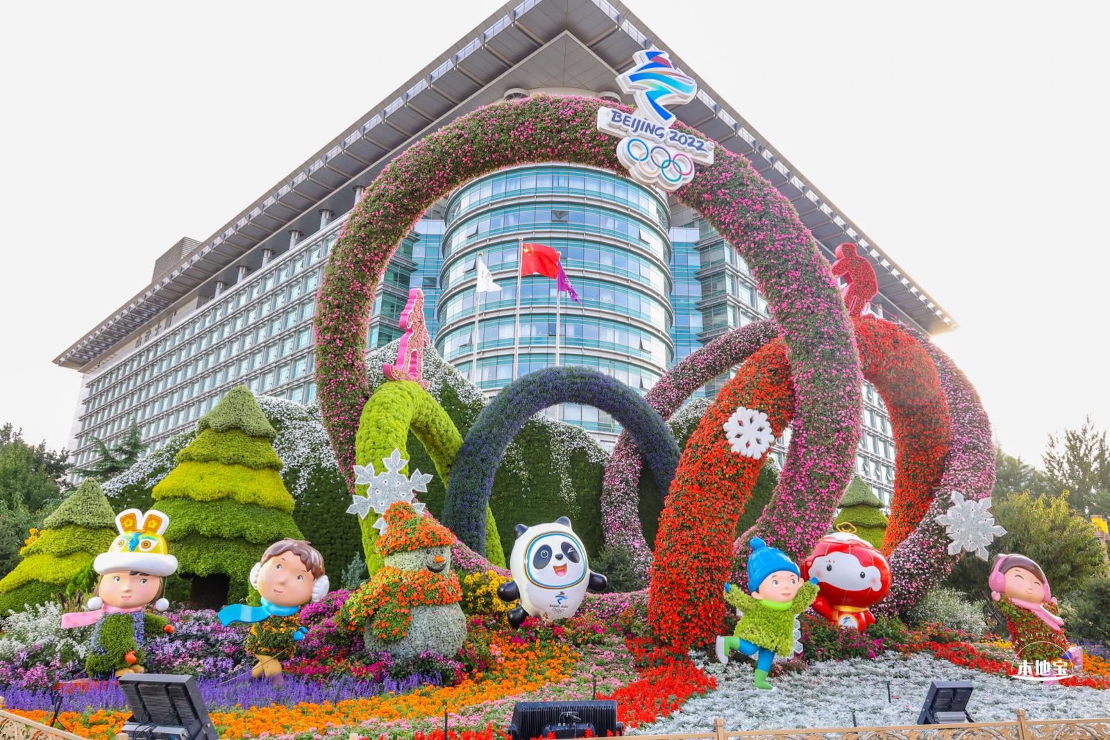 国庆花坛