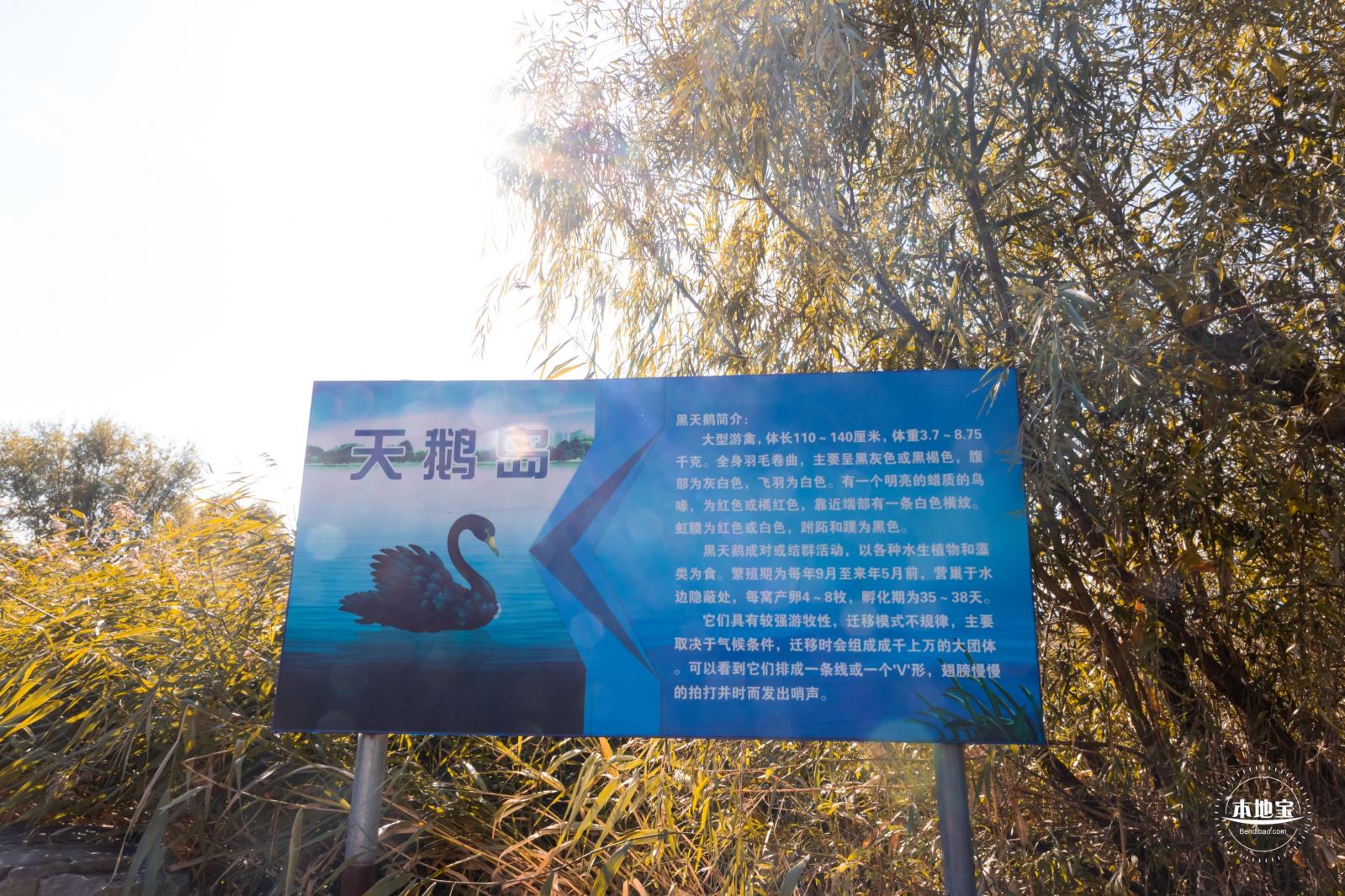北京冬奥公园