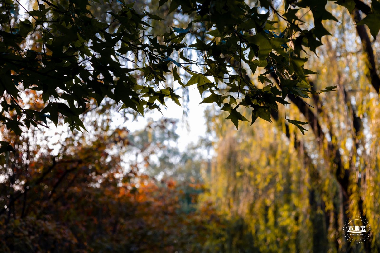 奥森秋景