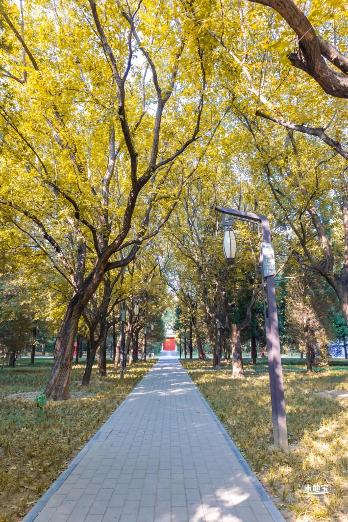 月坛公园