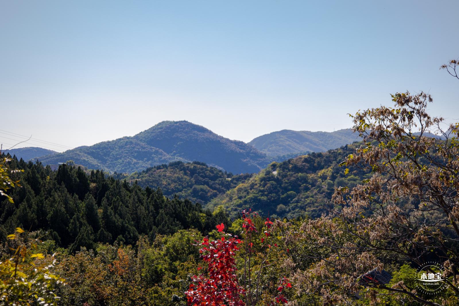百望山森林公园