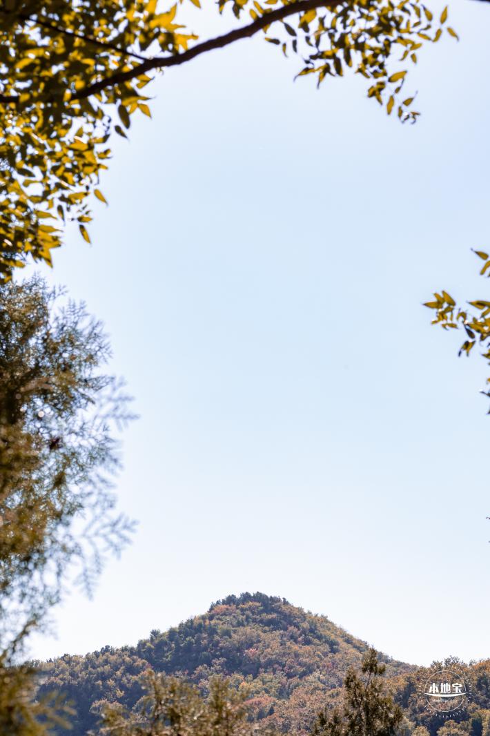 百望山森林公园