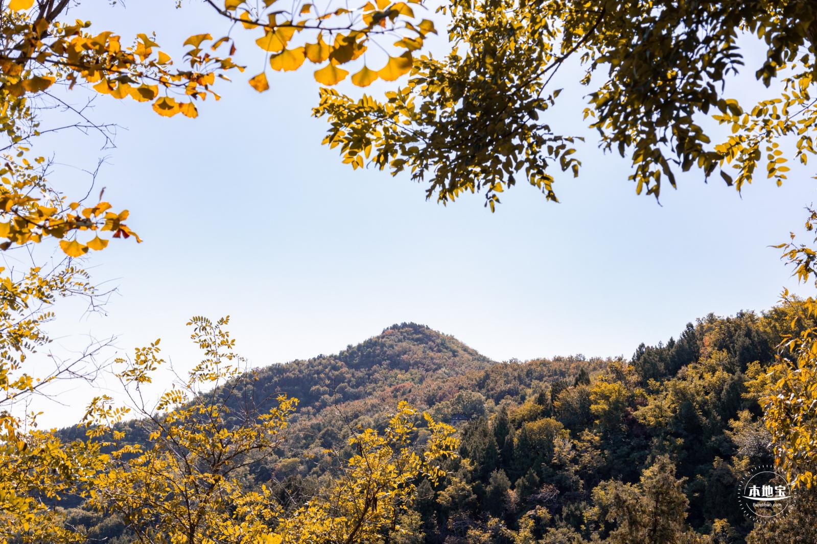 百望山森林公园