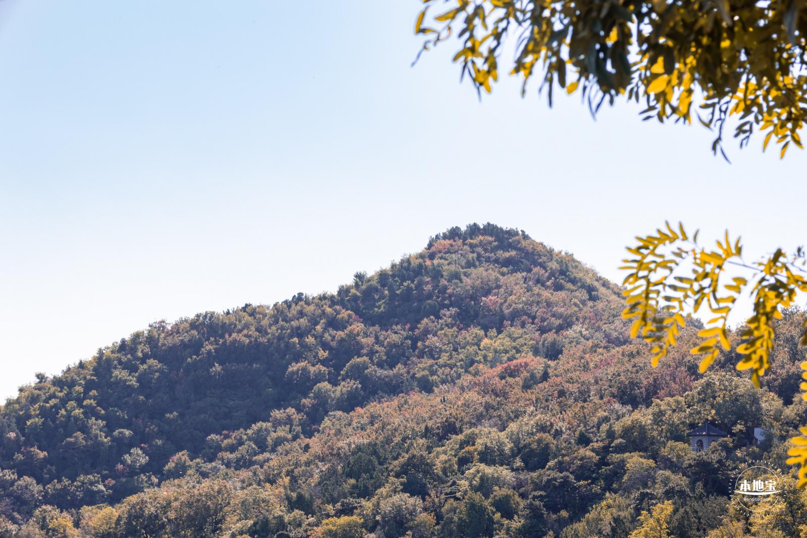 百望山森林公园