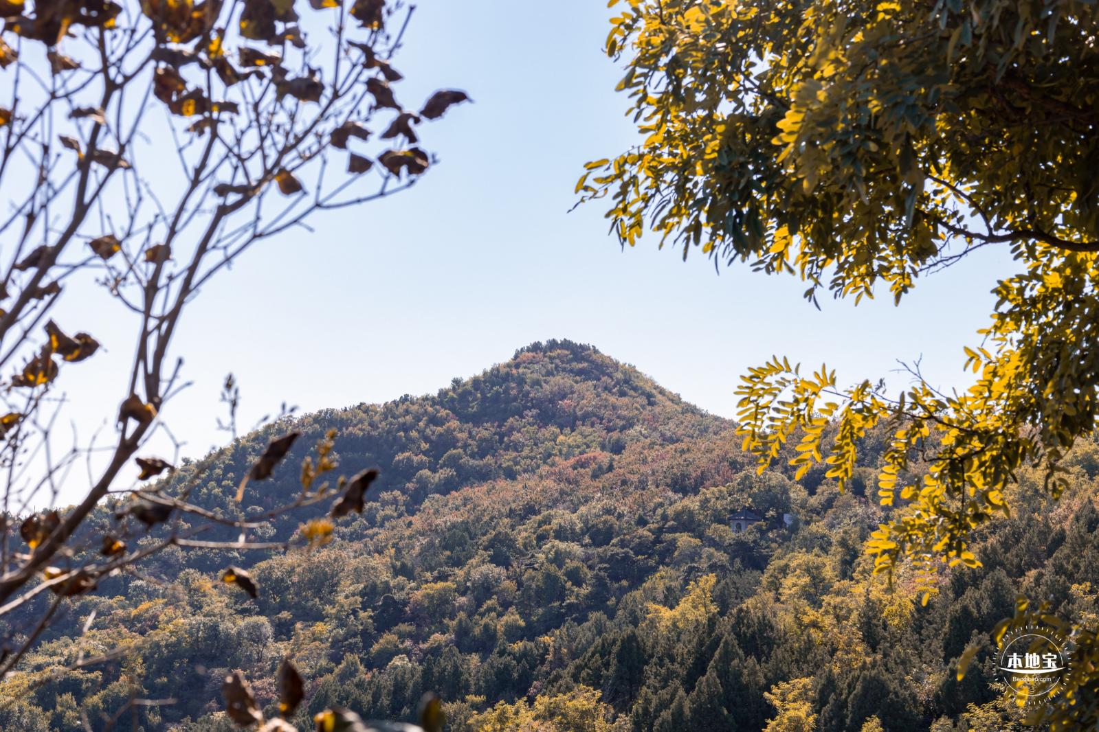 百望山森林公园